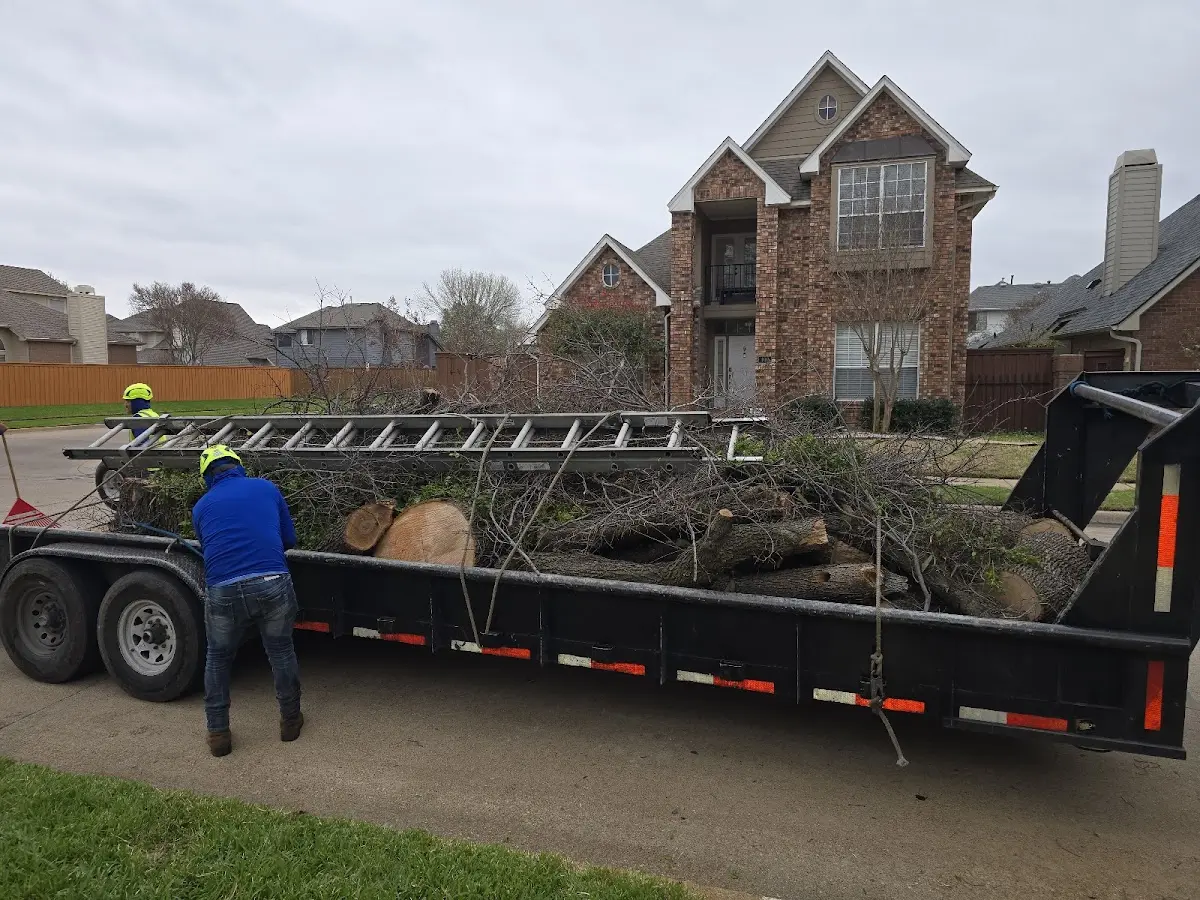 Expert Lot Clearing with proper safety equipment in Adams